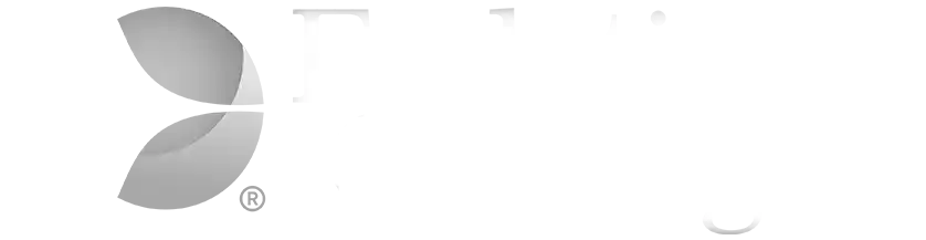 โลโก้ค่าย evolution gaming